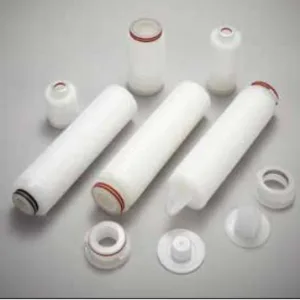 Biofil™ 2- Cartușe filtrante cu membrană din polietersulfonă (PES), Porvair