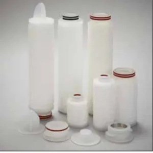 Biofil™ 2 Plus - Cartușe filtrante cu membrană dublă din polietersulfonă (PES), Porvair