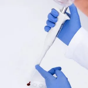 Cartele de colectare probe fără perforație E0903 - Analiză proteine și screening boli infecțioase